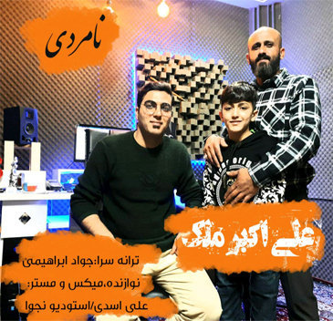 علی اکبر ملک نامردی